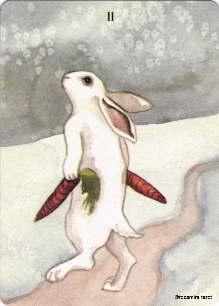 Rabbit Tarot